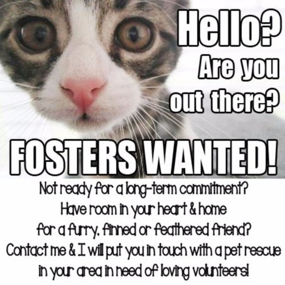 VENUS Animal Print Leather & Gold Halter Top M/L - Picture 3 of 4